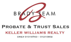 Brady team logo Large.jpg
